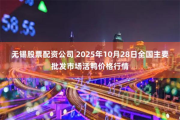无锡股票配资公司 2025年10月28日全国主要批发市场活鸭价格行情
