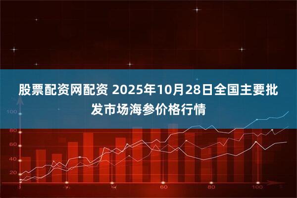 股票配资网配资 2025年10月28日全国主要批发市场海参价格行情