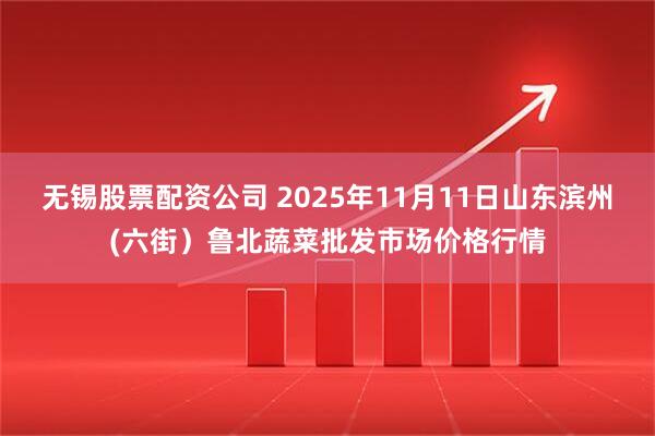 无锡股票配资公司 2025年11月11日山东滨州(六街）鲁北蔬菜批发市场价格行情