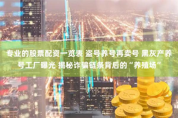 专业的股票配资一览表 盗号养号再卖号 黑灰产养号工厂曝光 揭秘诈骗链条背后的“养殖场”
